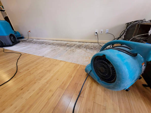 Professional Emergency Water Damage technician working in Walhalla, MI